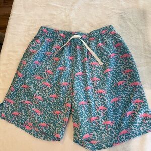 Chubbies Teal and Pink Patterned Swim Trunks